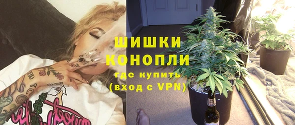 сатива Алексин