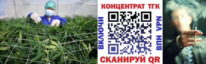blacksprut tor  Горбатов  ТГК вейп 