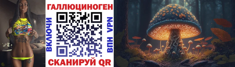 Галлюциногенные грибы GOLDEN TEACHER  купить наркотик  Горбатов 